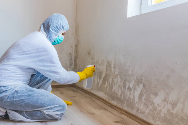 Hvac And Air Duct Mold Remediation inspection of HVAC system in Winburne