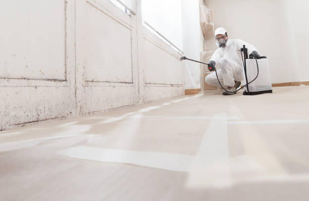 Black mold remediation team in Winburne